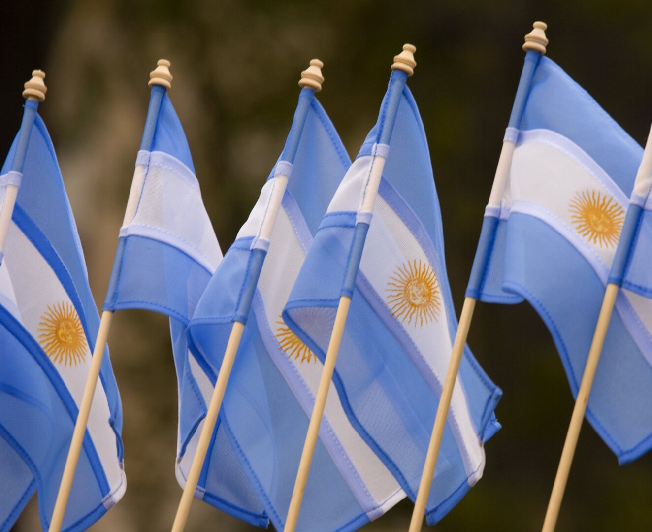 الرئيس الأرجنتيني يسعى لفرض ضريبة خاصة تستهدف الشركات المستفيدة من الأزمة الأوكرانية