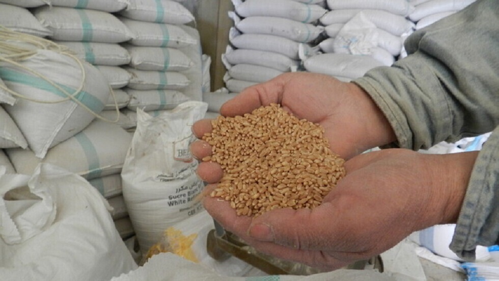 خبير يكشف لـRT أسباب استهلاك القمح بكميات كبيرة في مصر ودول عربية