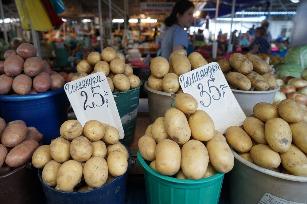 شركة مصرية مختصة في تصدير البطاطس تكشف حال الصادرات إلى روسيا بعد العقوبات الغربية