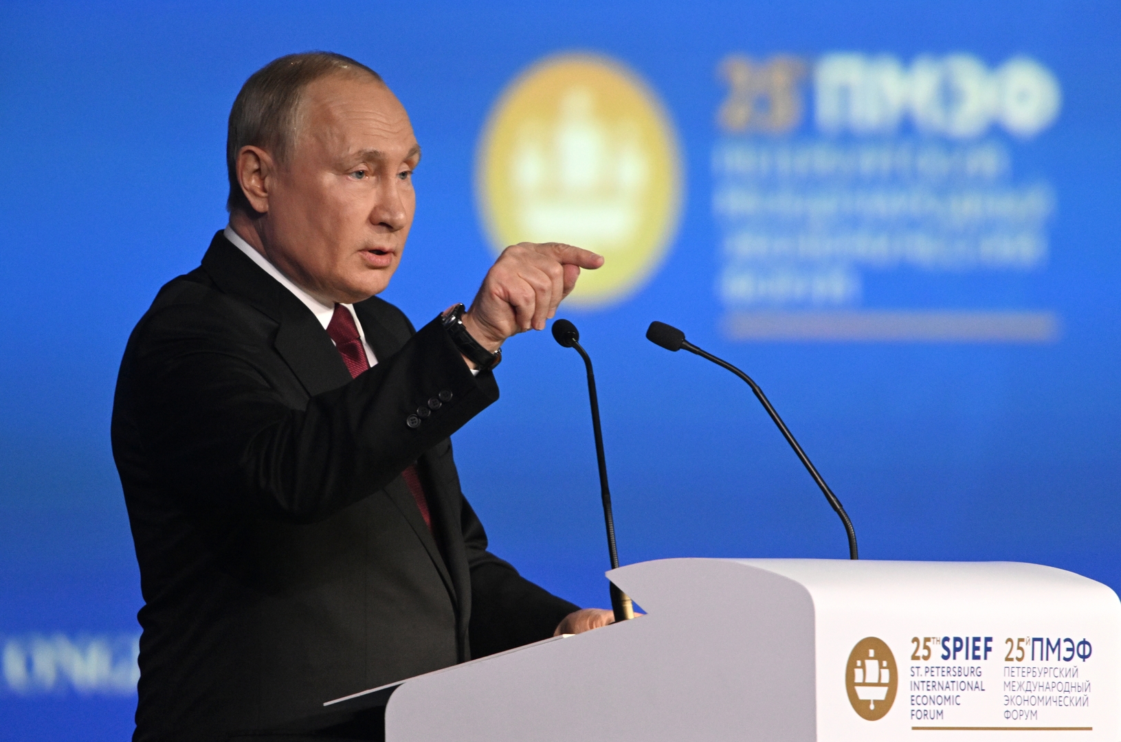 حول تنمية روسيا وأخطاء الغرب.. أبرز نقاط خطاب بوتين في منتدى بطرسبورغ الاقتصادي