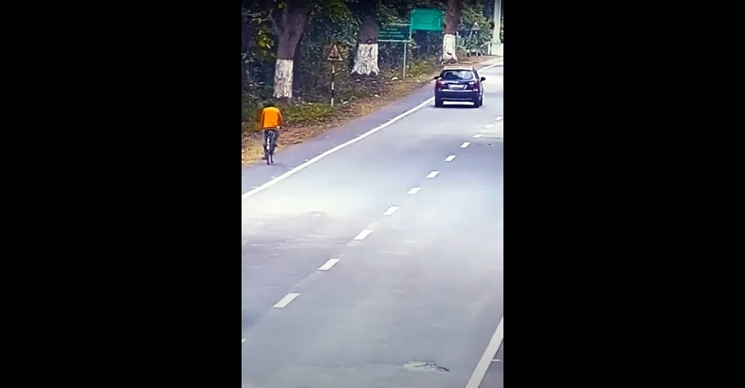 الهند.. نمر يشن هجوما خاطفا على شاب يقود دراجة (فيديو)
