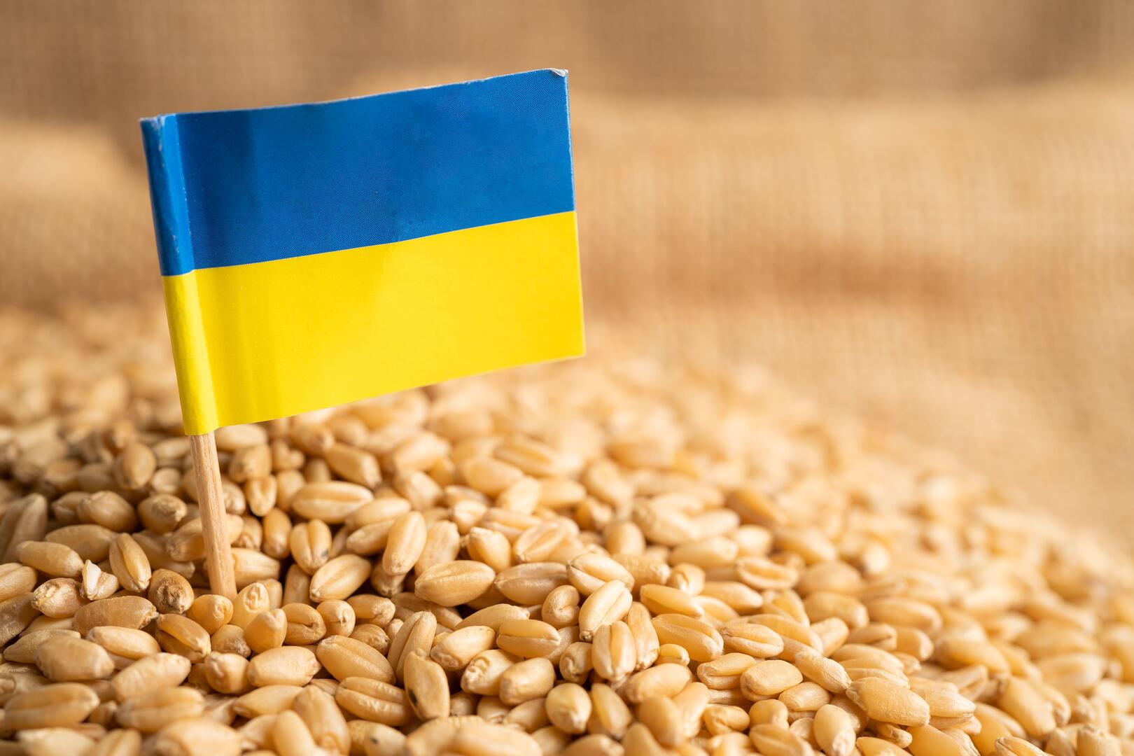واشنطن: نقل الحبوب الأوكرانية عبر أوديسا قد يكون الحلّ الأمثل