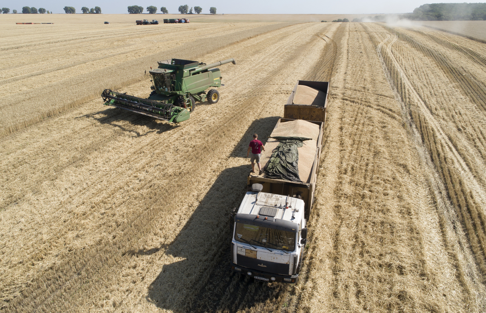 صحيفة: مشاكل تواجه القطاع الزراعي الروسي بسبب العقوبات الغربية