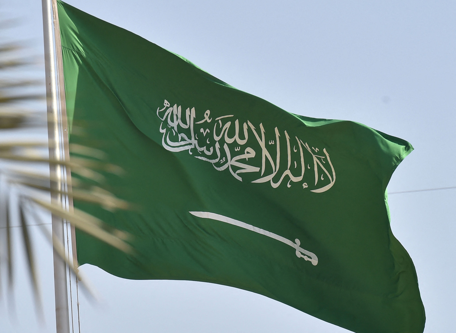 العاهل السعودي يتلقى رسالة خطية من أمير دولة قطر