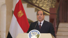 السيسي بعد استقباله العليمي: ندعم مجلس القيادة الرئاسي باليمن في جهوده للتوصل لحل سياسي لأزمة البلاد