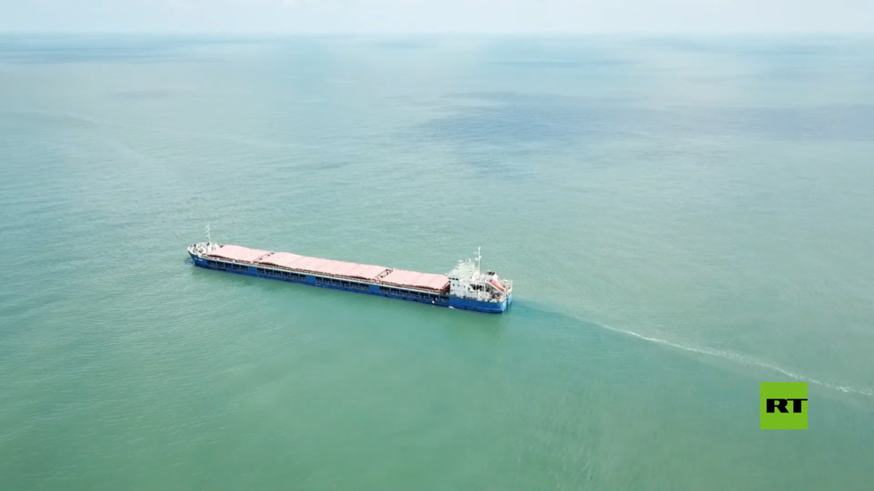 سفينة شحن ترفع العلم الروسي محملة بالحبوب من بيرديانسك تصل إلى مدينة تركية