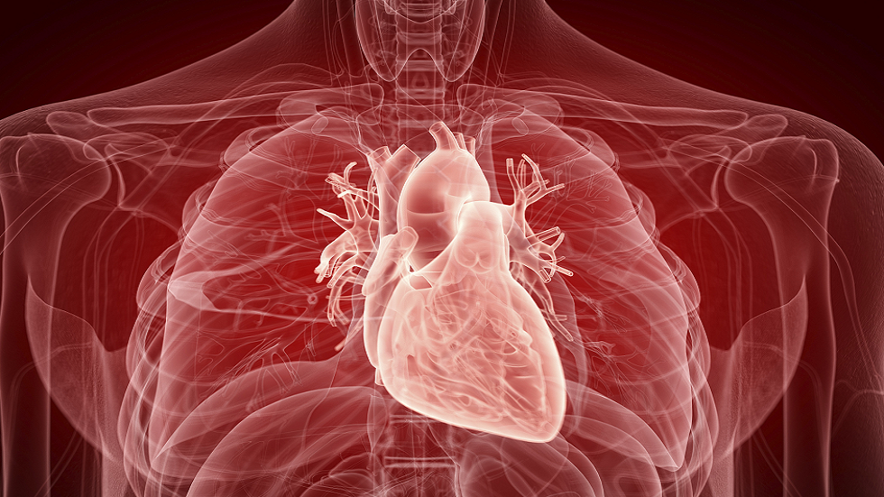 عملية زرع مع صمام خنزير قد تجنب مرضى القلب الجراحة العامة!