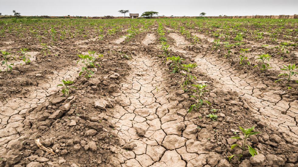 أجزاء من العالم لديها أنماط جفاف لم نشهدها منذ 1200 عام!