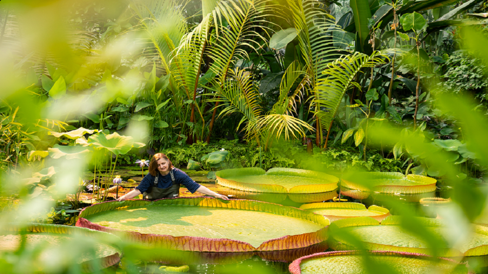 اكتشاف "كائن عملاق" كان في مرمى البصر!