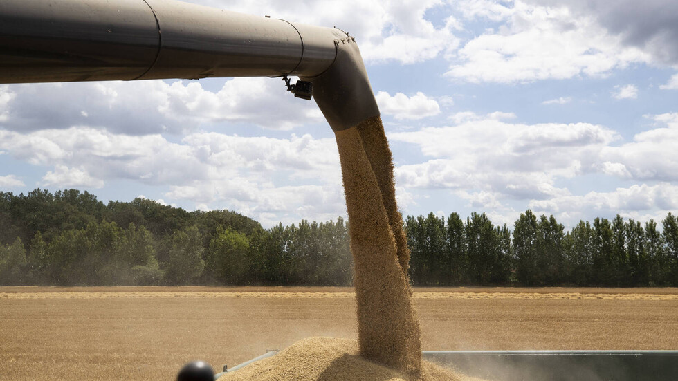 واشنطن تدعو مجموعة العشرين للضغط على روسيا في مسألة الحبوب الأوكرانية