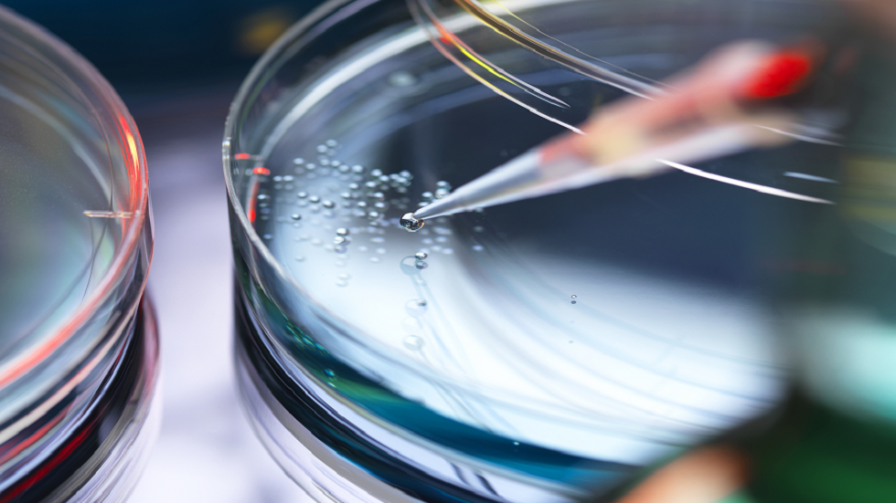 استنساخ حيوانات من خلايا الجلد المجففة بالتجميد لأول مرة علميا!