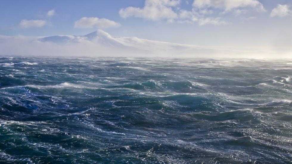 العثور على سمكة شفافة وعنكبوت بحري عملاق في رحلة استكشافية!