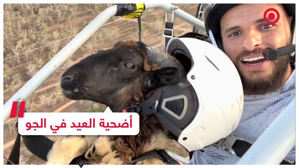 أضحية العيد تطير في الجو