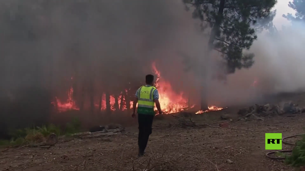 بالفيديو.. حرائق الغابات تجتاح مناطق شاسعة في البرتغال وغرب إسبانيا