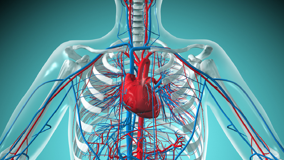 زراعة قلبين آخرين من خنازير 