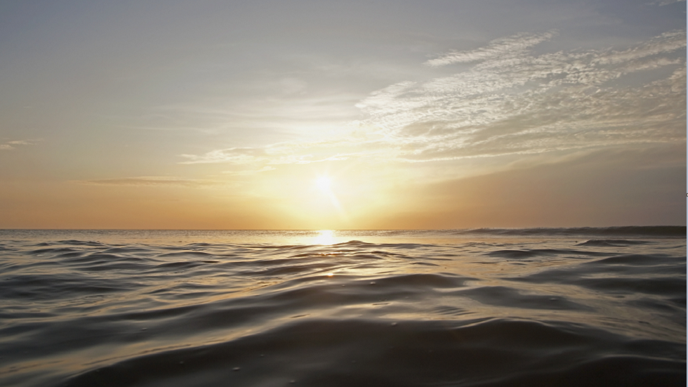 الكاميرا تلتقط لأول مرة 