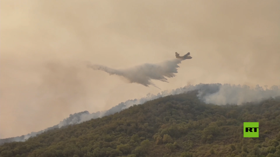 رجال الإطفاء والمواطنون يكافحون حرائق الغابات في المغرب