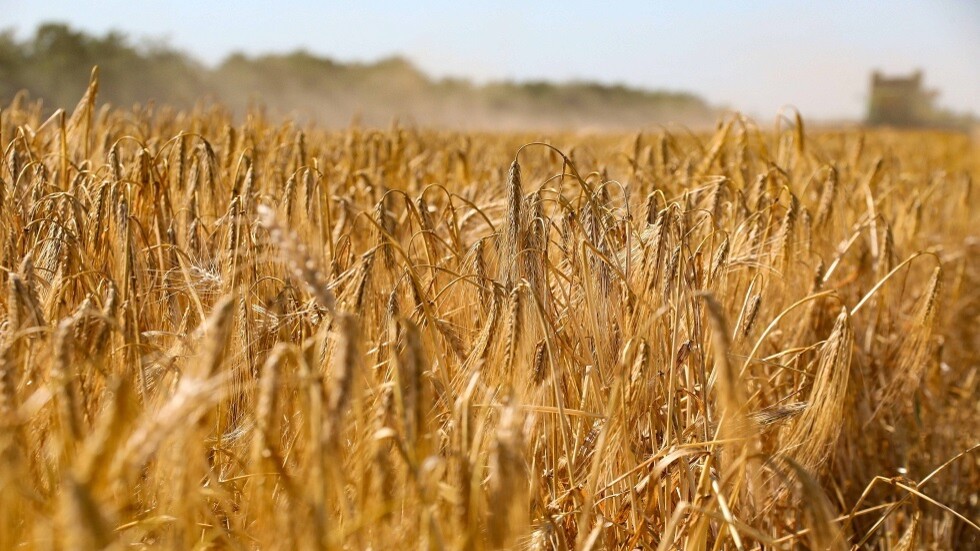 الدفاع الروسية: قوات كييف تضرم النار في حقول حبوب المناطق المحررة