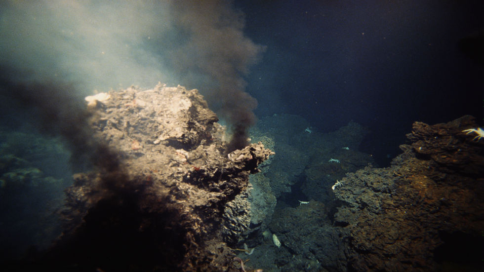 اكتشاف حقل وحش مائي في الأعماق المظلمة شرق المحيط الهادئ!