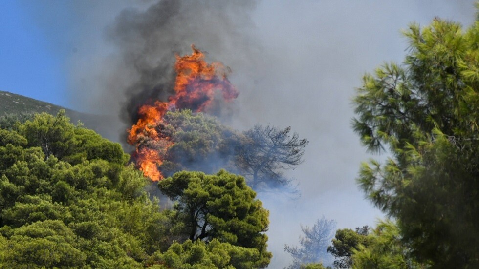 اندلاع حرائق مدمرة في غابات اليونان