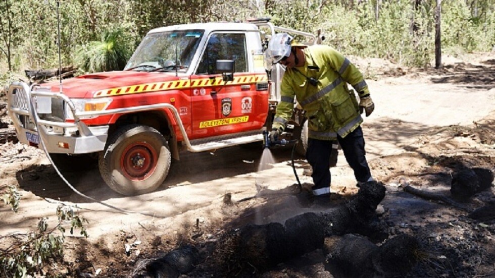 تقرير حكومي صادم.. الثروة النباتية والحيوانية في أستراليا مهددة أكثر من أي وقت