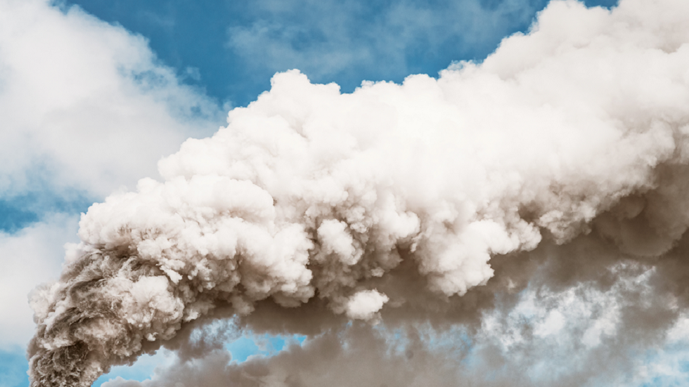 الكشف عن "مفتاح محتمل ومفاجئ" لخفض انبعاثات الكربون!