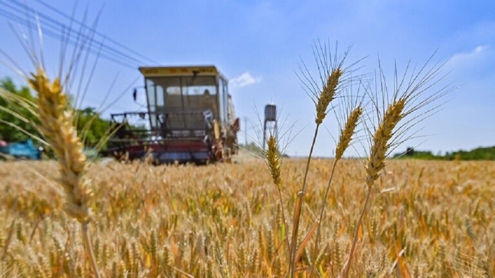 مصدر في الأمم المتحدة يعلن التوصل إلى حل حول تصدير الحبوب الأوكرانية وتوقيع الاتفاق الجمعة