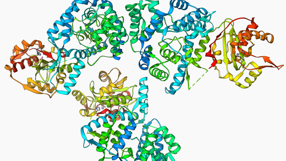 العلماء يكتشفون 