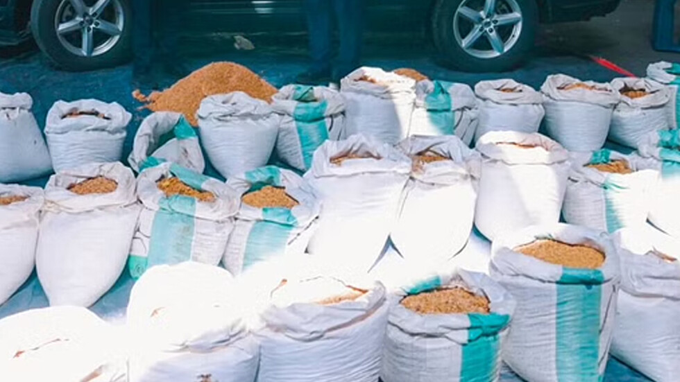 السعودية.. إحباط تهريب 15 مليون حبة كبتاغون في ميناء جدة (صور + فيديو)