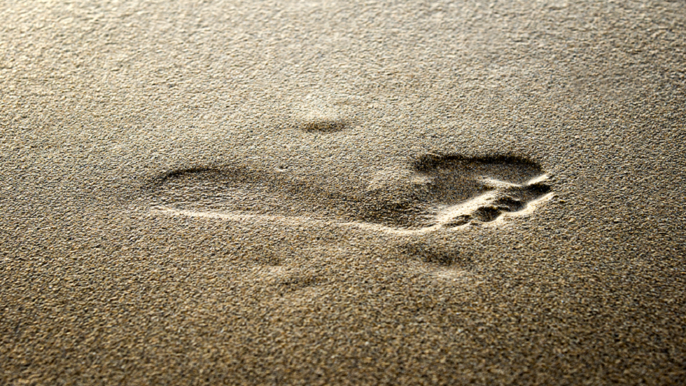 اكتشاف آثار أقدام لـ 88 بالغا وطفلا يعود تاريخها إلى 12000 عام في صحراء يوتا!