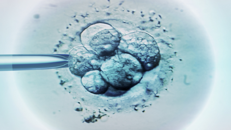 دراسة تدخل الطمأنينة إلى قلوب من ينجبون عبر التلقيح الاصطناعي!