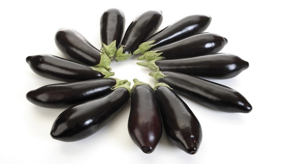 طبيبة روسية توضح فوائد الباذنجان