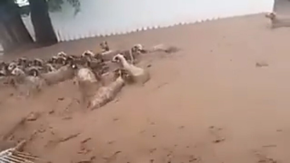 تداول فيديو قديم مصور في تركيا ونسبه إلى الفيضانات التي ضربت أصفهان بإيران الأسبوع الماضي