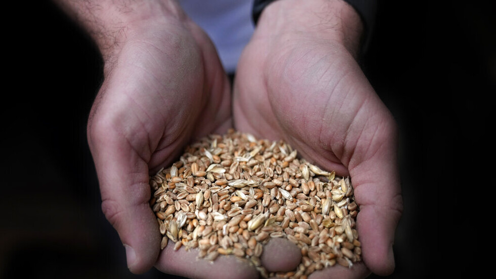 سفارة روسيا تعلق على أنباء حول "سفينة سورية راسية في لبنان"