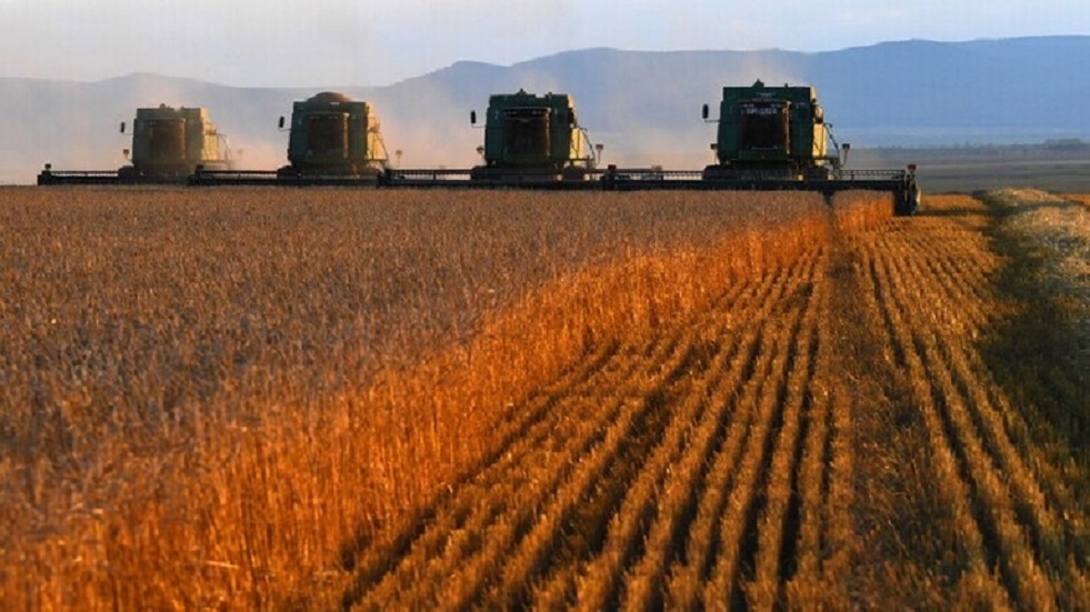  روسيا قد تجمع محصولا قياسيا من القمح