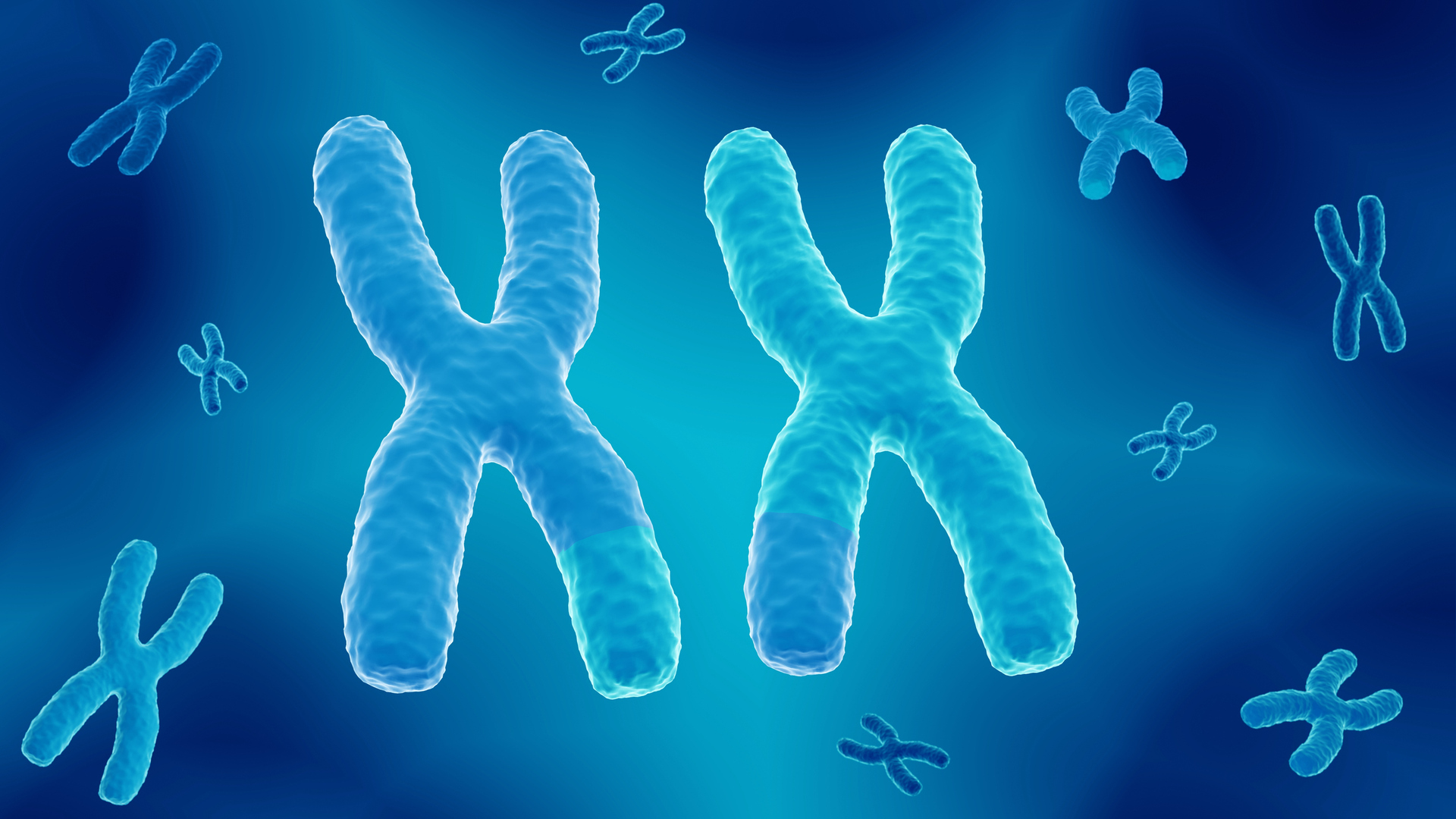 تحديد طفرات في الكروموسومات X ترتبط بالعقم عند الذكور