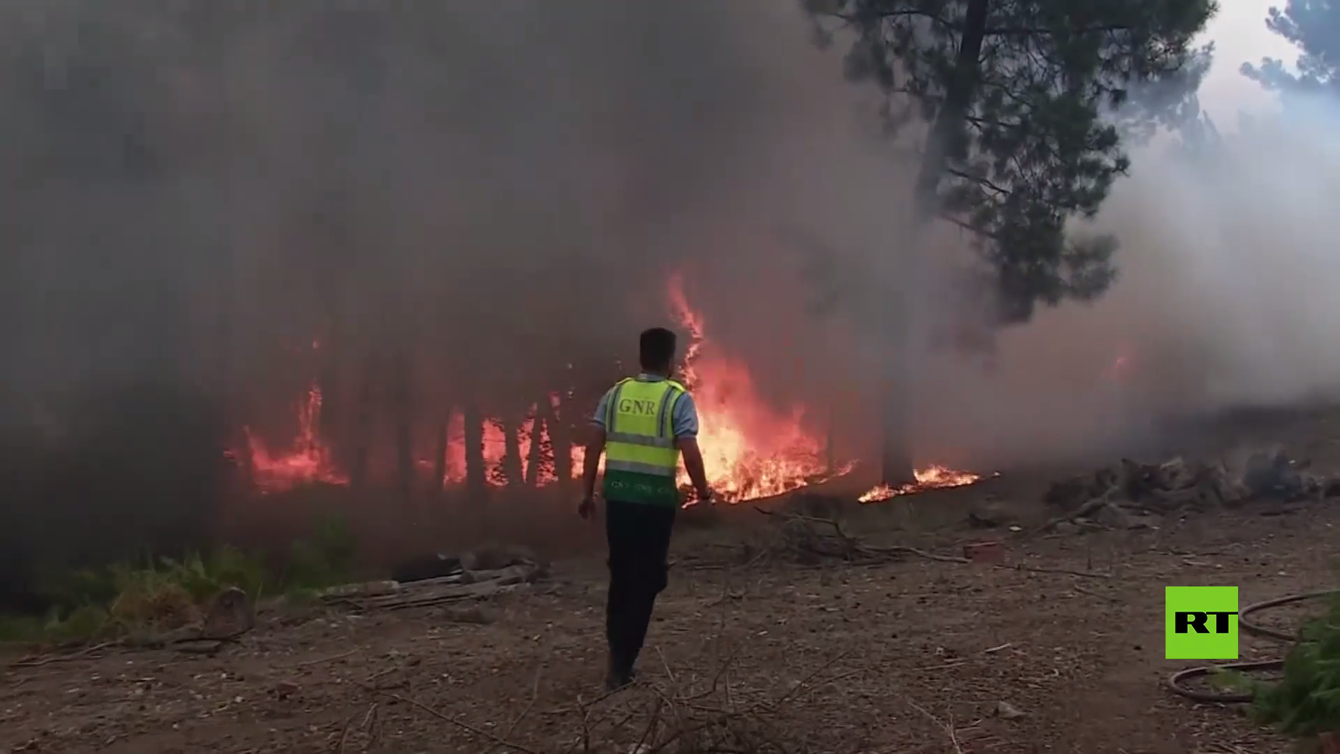بالفيديو.. حرائق الغابات تجتاح مناطق شاسعة في البرتغال وغرب إسبانيا
