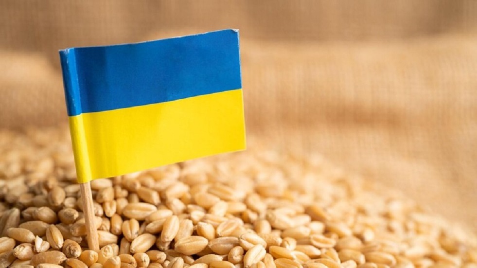 برلماني أوكراني يؤكد التوصل لاتفاق يسمح بتصدير الحبوب عبر ثلاثة موانئ أوكرانية