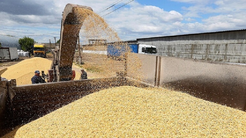 مصدر في الأمم المتحدة يعلن التوصل إلى حل حول تصدير الحبوب الأوكرانية وتوقيع الاتفاق الجمعة