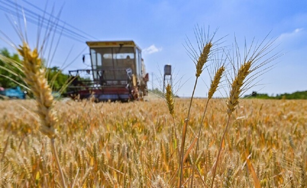 مصدر في الأمم المتحدة يعلن التوصل إلى حل حول تصدير الحبوب الأوكرانية وتوقيع الاتفاق الجمعة