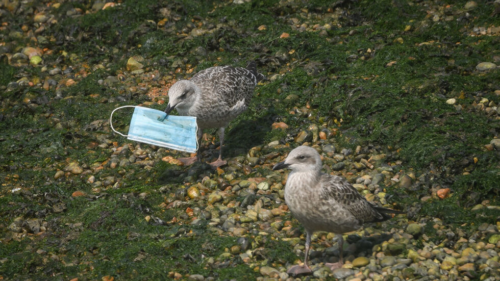 صور مروّعة تظهر التأثير المدمر لنفايات