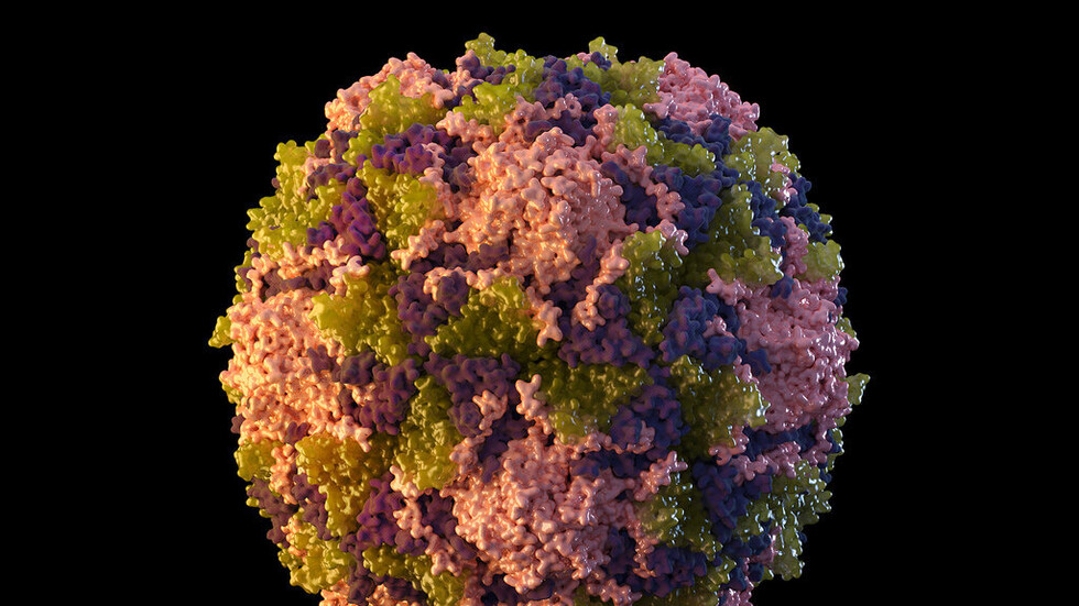 العثور على فيروس شلل الأطفال في مياه الصرف الصحي في ولاية نيويورك