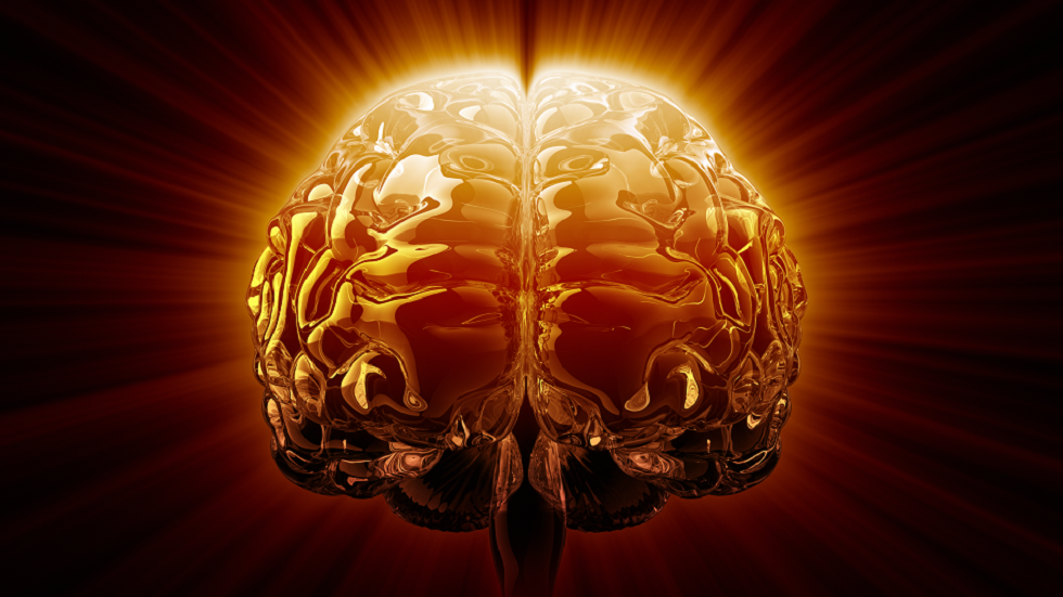 دراسة جديدة تحذر من 