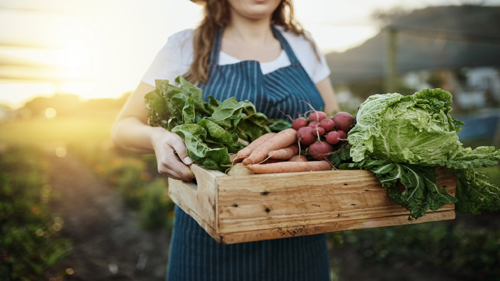 ما مدى ضرر الأطعمة المفضلة لديك على البيئة؟