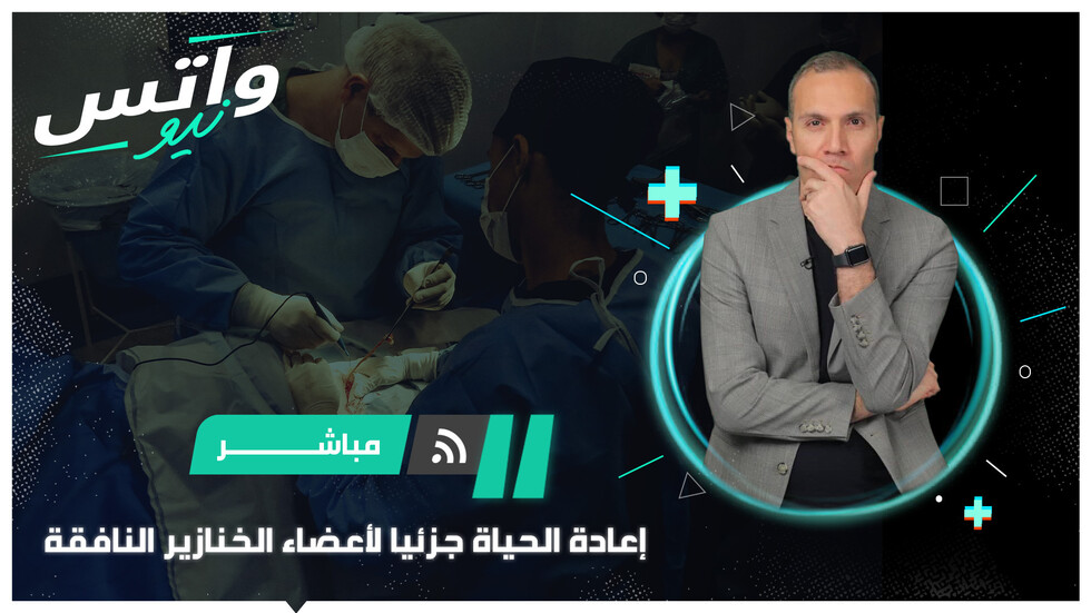 إعادة الحياة جزئيا لأعضاء الخنازير النافقة