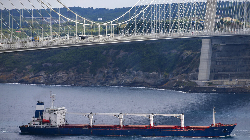 السفارة الأوكرانية في بيروت تنفي علمها بموقع السفينة "رازوني"