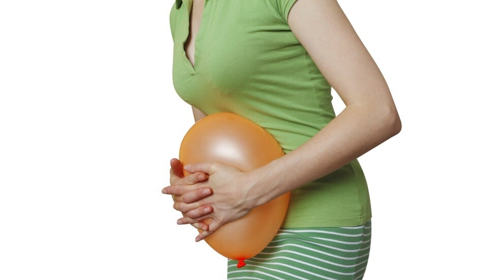 هل يساعد البروبيوتيك في تخفيف أعراض القولون العصبي؟