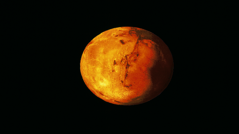 نبتة البرسيم قد تكون المفتاح لاستيطان المريخ!