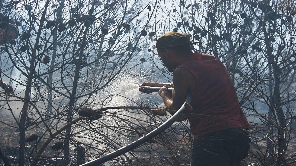 احتراق أكثر من 10 آلاف هكتار من غابات محميّة جزائرية فريدة