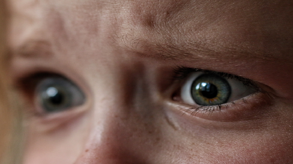 العلماء "يحددون" الخلايا العصبية التي تولّد الخوف!